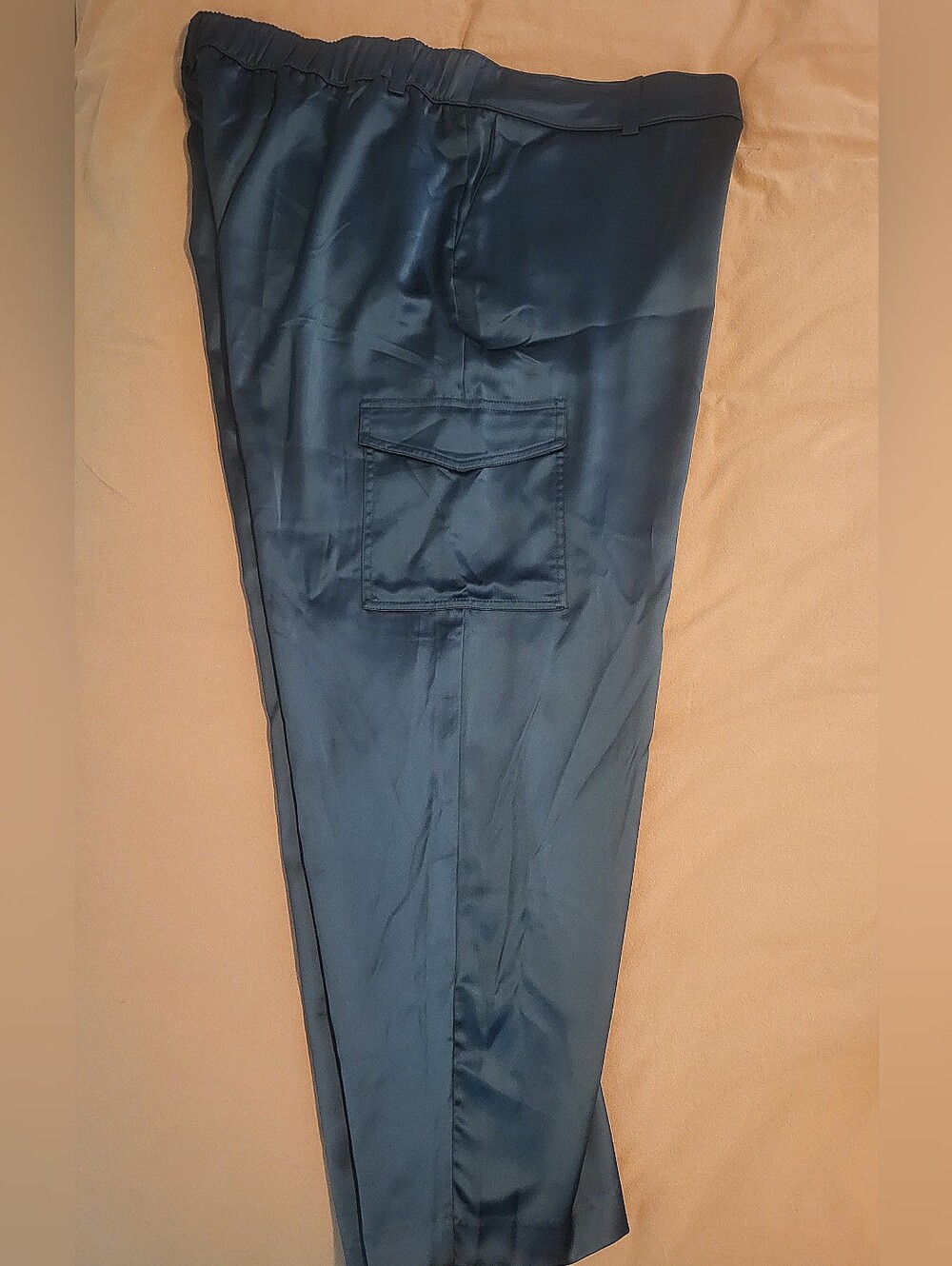 Gorgeous Satin Pants NWT